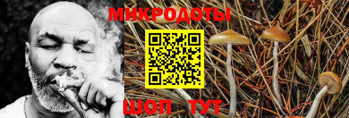 Псилоцибиновые грибы мухоморы Междуреченск